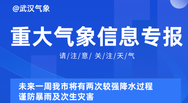 2025年新奥天天精准资料大全,精选资料解析大全,探索未来，2025年新奥天天精准资料大全与精选资料解析大全详解