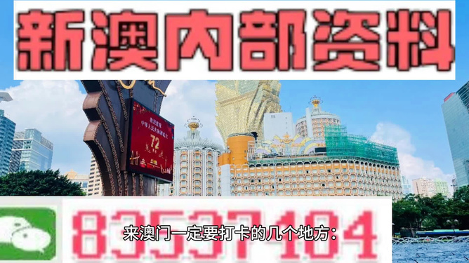 2025新澳免费资料五不中资料,精选资料解析大全,精选解析大全，探索新澳免费资料五不中背后的秘密